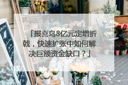 报喜鸟8亿元定增折戟，快速扩张中如何解决巨额资金缺口？
